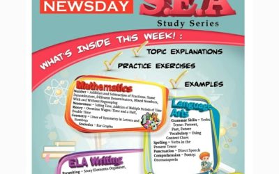 Newsday SEA Study Series: Volume 14 Worksheets